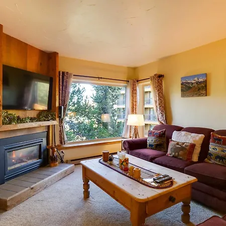 Cozy Ski-Inandski-Out Breckenridge Condo Mtn Views!